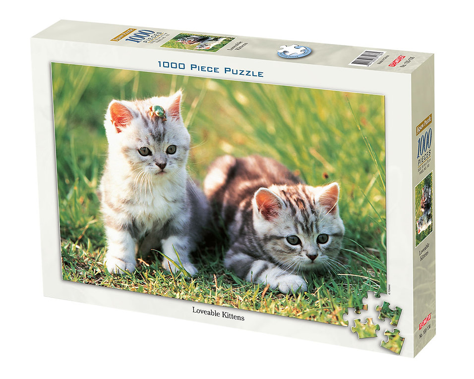Loveable Kittens